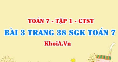 Bài 3 trang 38 SGK Toán 7 chân trời sáng tạo tập 1
